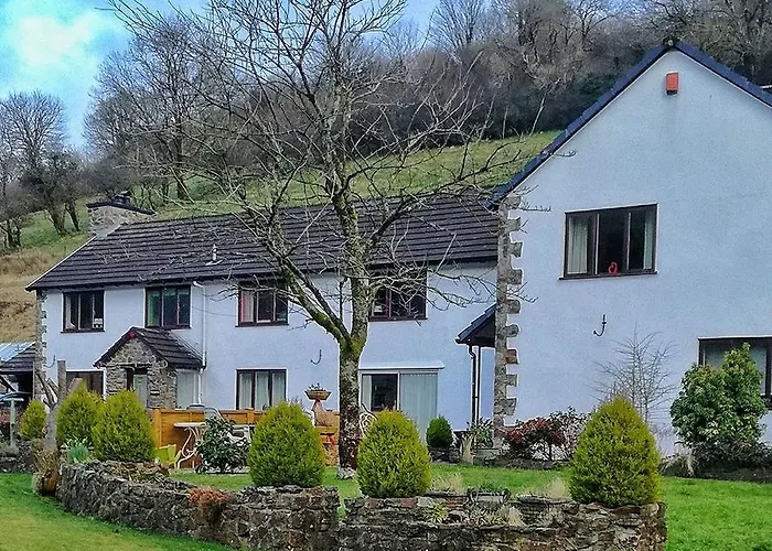 Neuadd Wen Guest House